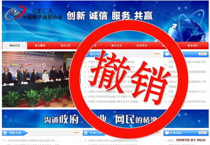 突发 民政部对中国电子商务协会作出行政处罚,撤销登记